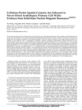 Cellulose-Pectin Spatial Contacts Are Inherent to Never-Dried Arabidopsis Primary Cell Walls: Evidence from Solid-State Nuclear Magnetic Resonance1[OPEN]