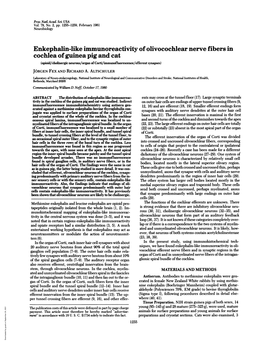 Enkephalin-Like Immunoreactivity of Olivocochlear Nerve Fibers In