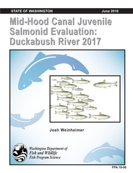 Duckabush River 2017