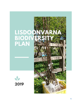 Lisdoonvarna Biodiversity Plan