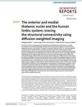 The Anterior and Medial Thalamic Nuclei and the Human