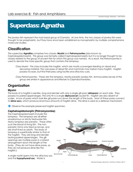 Superclass: Agnatha