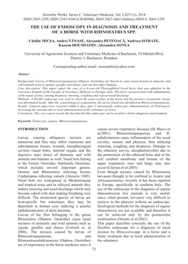 The Use of Endoscopy in Diagnosis and Treatment of a Horse with Rhinoestrus Spp