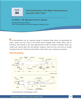 Training Manual on Advances in Marine Fisheries in India 49