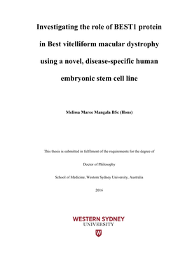 Investigating the Role of BEST1 Protein in Best Vitelliform Macular