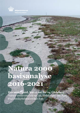 Natura 2000 Basisanalyse 2016-2021