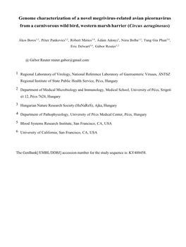 Genome Characterization of a Novel Megrivirus-Related Avian Picornavirus from a Carnivorous Wild Bird, Western Marsh Harrier (Circus Aeruginosus)