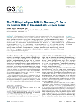 The E3 Ubiquitin Ligase MIB-1 Is Necessary to Form the Nuclear Halo in Caenorhabditis Elegans Sperm