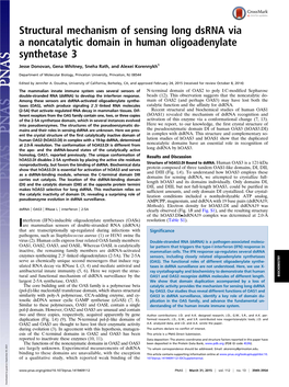 Structural Mechanism of Sensing Long Dsrna Via a Noncatalytic Domain in Human Oligoadenylate Synthetase 3