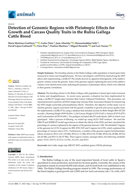 Detection of Genomic Regions with Pleiotropic Effects for Growth and Carcass Quality Traits in the Rubia Gallega Cattle Breed