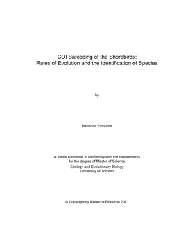 COI Barcoding of the Shorebirds: Rates of Evolution and the Identification of Species
