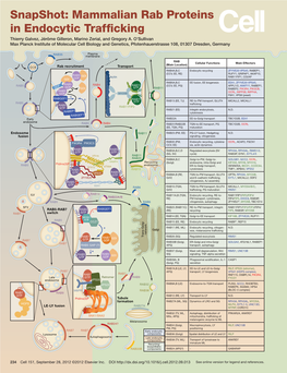 Snapshot: Mammalian Rab Proteins in Endocytic Trafficking Thierry Galvez, Jérôme Gilleron, Marino Zerial, and Gregory A