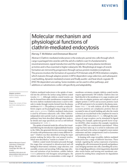 Molecular Mechanism and Physiological Functions of Clathrin‑Mediated Endocytosis