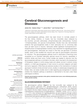 Cerebral Gluconeogenesis and Diseases