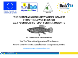 The European Mudminnow Umbra Krameri from the Lower Dniester As a “Contour Biotope” for Its Symbionts