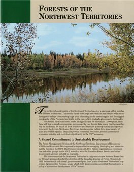 Forests of the Northwest Territories