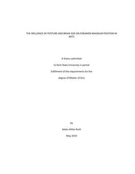 The Influence of Posture and Brain Size on Foramen Magnum Position in Bats
