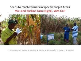 Seeds to Reach Farmers in Specific Target Areas Mali and Burkina Faso (Niger), Waf-Cop