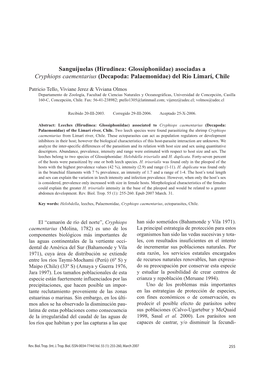 Sanguijuelas (Hirudinea: Glossiphoniidae) Asociadas a Cryphiops Caementarius (Decapoda: Palaemonidae) Del Río Limarí, Chile