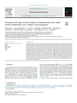 Proteomics and Single-Cell RNA Analysis of Akap4-Knockout Mice Model Conﬁrm Indispensable Role of Akap4 in Spermatogenesis