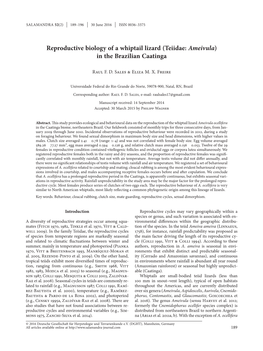 Reproductive Biology of a Whiptail Lizard (Teiidae: Ameivula) in the Brazilian Caatinga