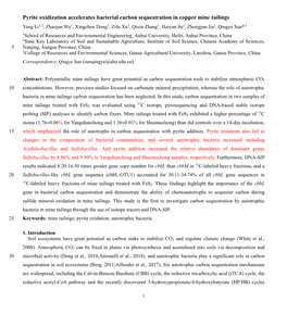 Pyrite Oxidization Accelerates Bacterial Carbon Sequestration in Copper