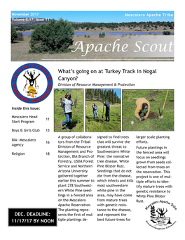 November 2017 Mescalero Apache Tribe Volume II.17, Issue 11