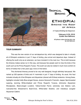 ETHIOPIA: Birding the Roof of Africa