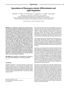 Sporulation of Plasmopara Viticola: Differentiation and Light Regulation