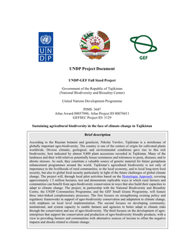 UNDP Project Document