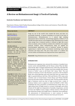 A Review on Bioluminescent Fungi: a Torch of Curiosity