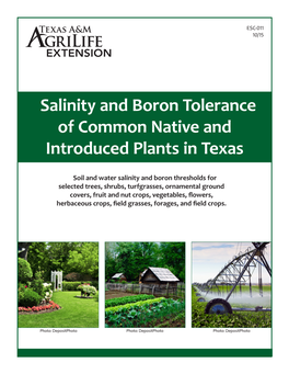 Salinity and Boron Tolerance of Common Native and Introduced Plants in Texas