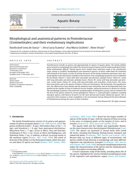 Morphological and Anatomical Patterns in Pontederiaceae (Commelinales) and Their Evolutionary Implications