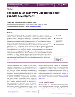The Molecular Pathways Underlying Early Gonadal Development