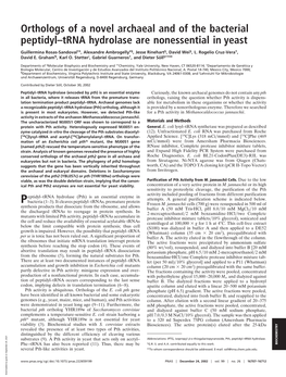 Orthologs of a Novel Archaeal and of the Bacterial Peptidyl–Trna Hydrolase Are Nonessential in Yeast