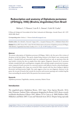 Redescription and Anatomy of Diplodonta Portesiana (D’Orbigny, 1846) (Bivalvia, Ungulinidae) from Brazil