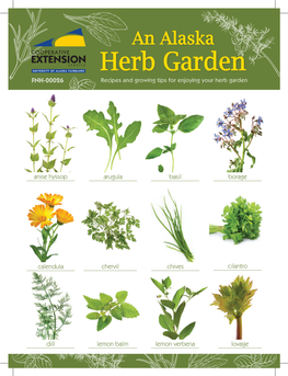 Herb Garden FNH-00026 Recipes and Growing Tips for Enjoying Your Herb Garden