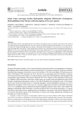 Giant Water Scavenger Beetles Hydrophilus Subgenus Dibolocelus (Coleoptera: Hydrophilidae) from Mexico with Description of Two New Species