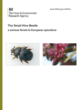 The Small Hive Beetle a Serious Threat to European Apiculture Pollination