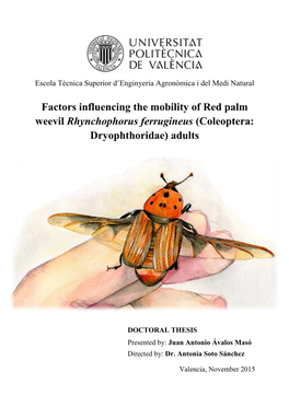 Factors Influencing the Mobility of Red Palm Weevil Rhynchophorus Ferrugineus (Coleoptera: Dryophthoridae) Adults