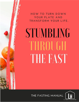Stumbling-Through-The-Fast-Book