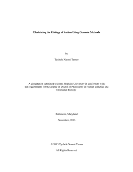 TURNER-DISSERTATION-2014.Pdf