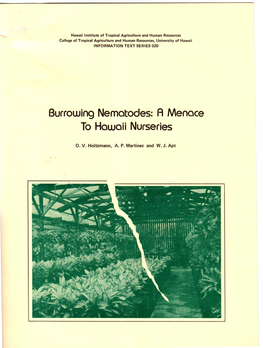 A Menace to Hawaii Nurseries