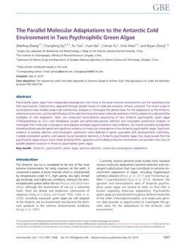 The Parallel Molecular Adaptations to the Antarctic Cold Environment in Two Psychrophilic Green Algae