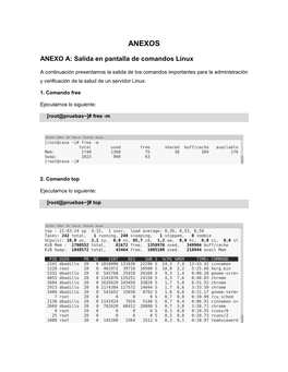 ANEXO A: Salida En Pantalla De Comandos Linux
