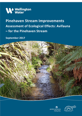 Pinehaven Stream Improvements and Here