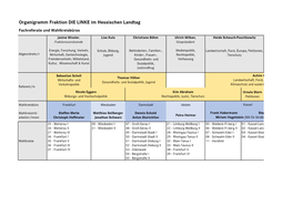 Organigramm Fraktion DIE LINKE Im Hessischen Landtag