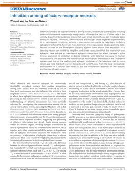 Inhibition Among Olfactory Receptor Neurons