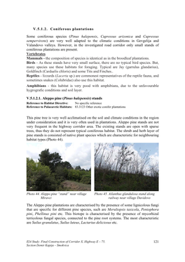 V.5.1.2. Coniferous Plantations Some Coniferous Species (Pinus Halepensis, Cupressus Arizonica and Cupressus Sempervirens)