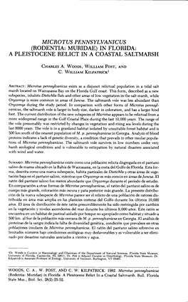 Microtus Pennsylvanicus (Rodentia: Muridae) in Florida: a Pleistocene Relict in a Coastal Saltmarsh